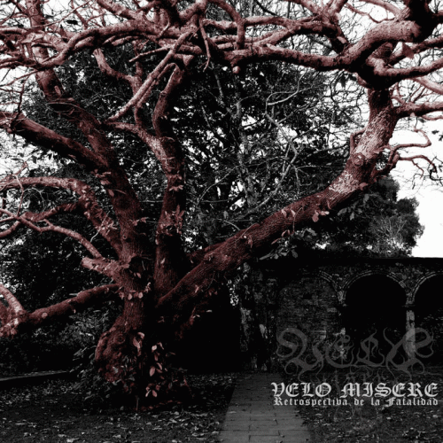 Velo Misere : Retrospectiva de la Fatalidad